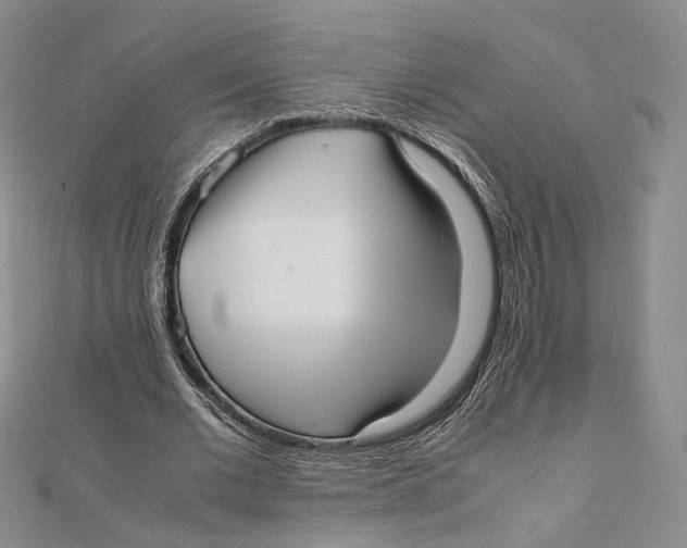 X0000112050677200909010943