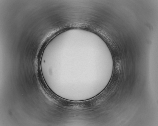 X0000112050678200909010943