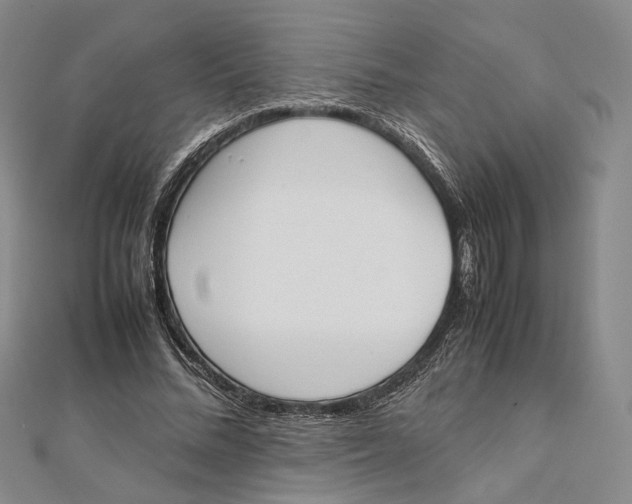 X0000112050684200909010943