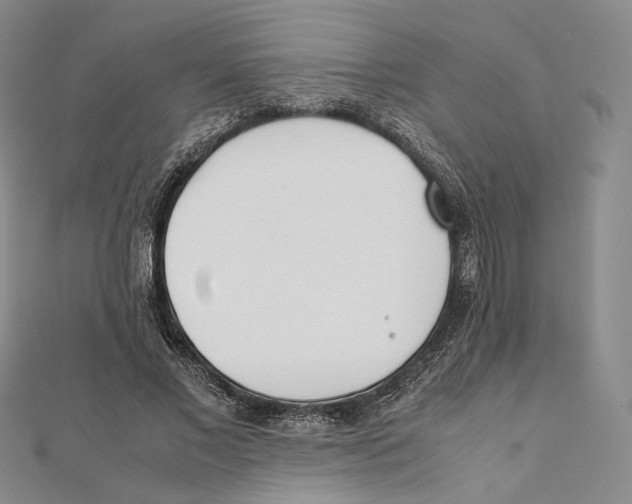 X0000112050685200909010943