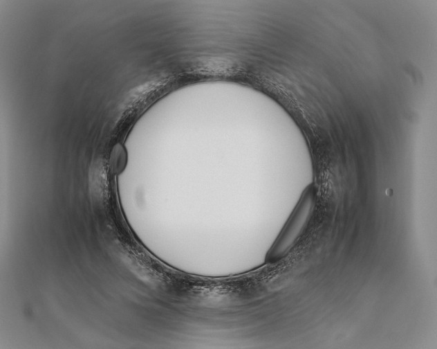 X0000112050688200909010943