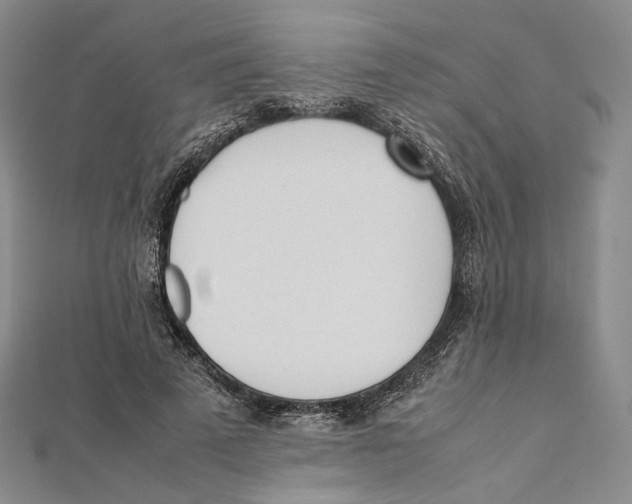 X0000112050689200909010943