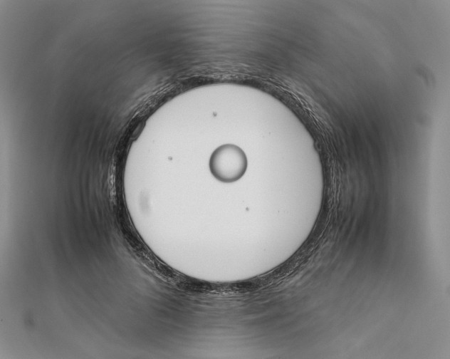 X0000112050696200909010942