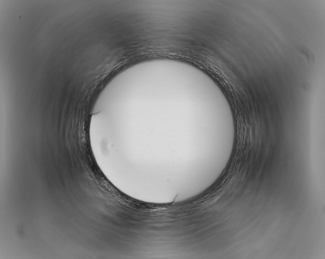 X0000112050700200909010942