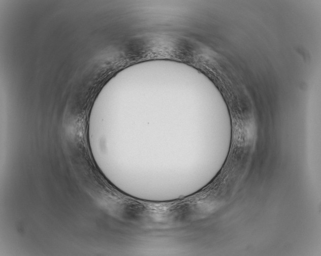 X0000112050701200909010942
