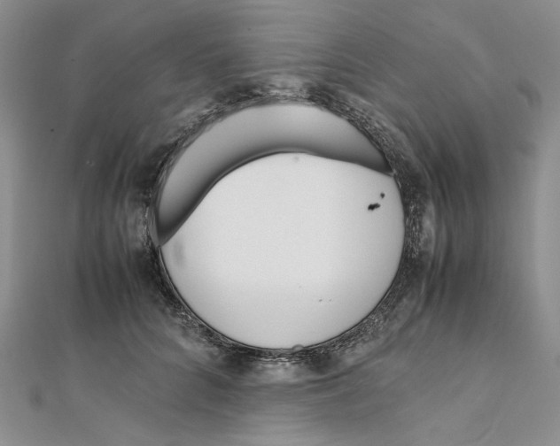 X0000112050704200909010942