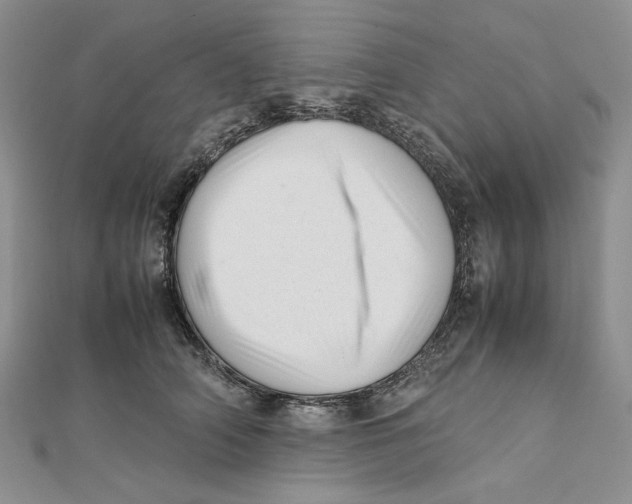 X0000112050706200909010942