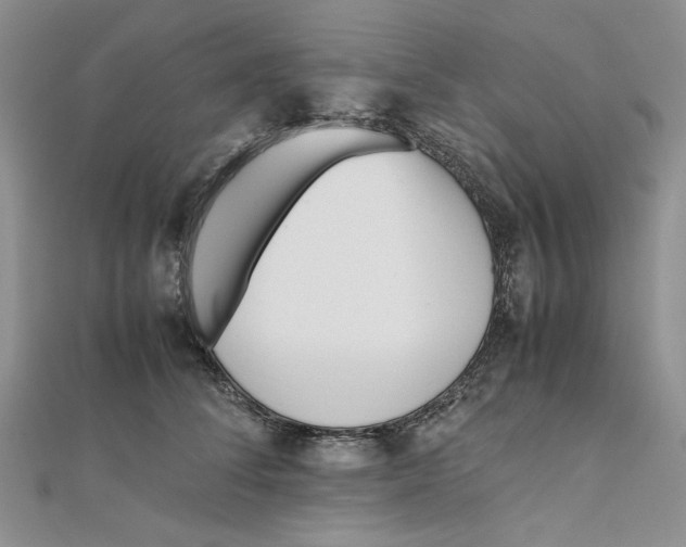 X0000112050708200909010942