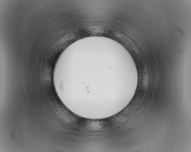 X0000112050710200909010942