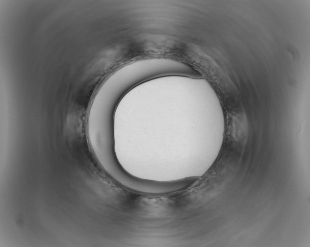 X0000112050712200909010942