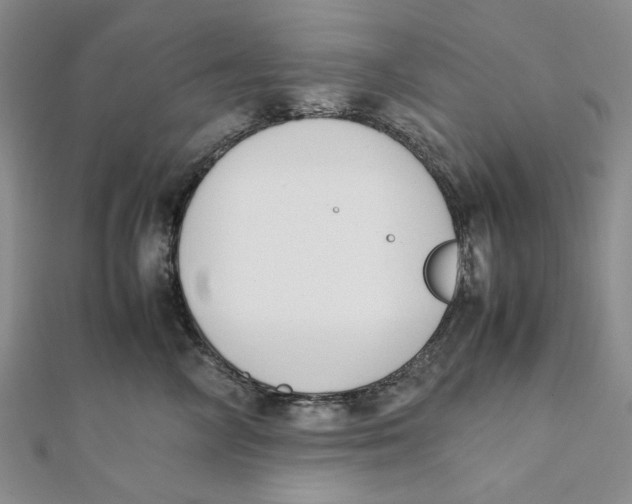 X0000112050714200909010942