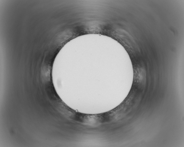 X0000112050717200909010942