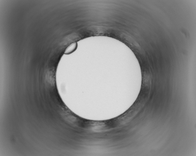 X0000112050719200909010942