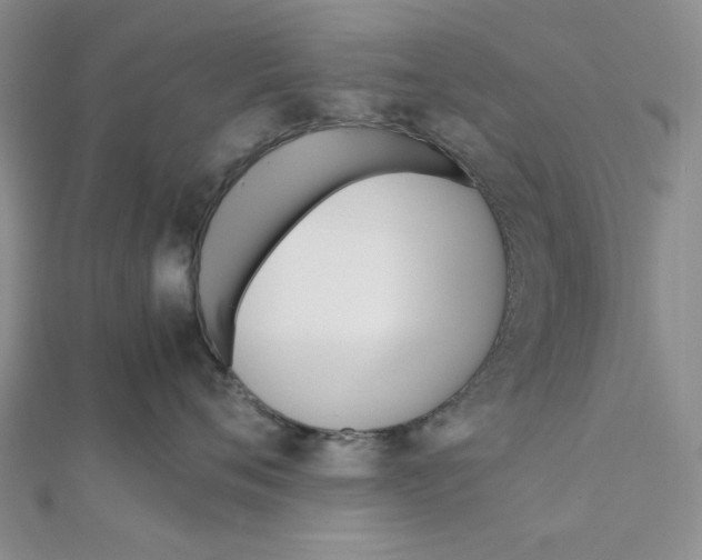 X0000112050720200909010942
