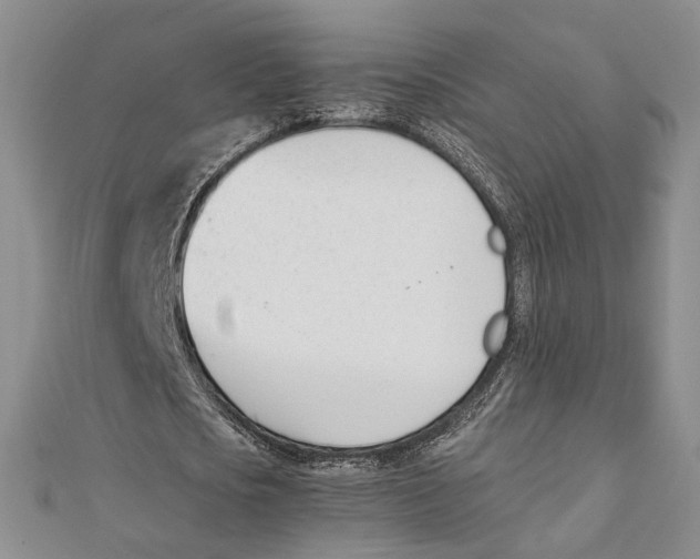 X0000112050721200909010941