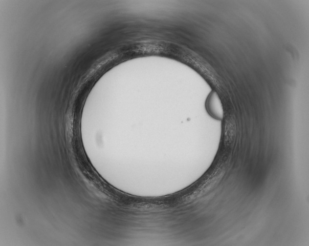 X0000112050722200909010941