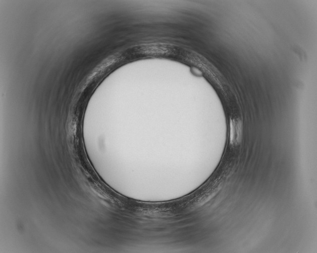 X0000112050723200909010941