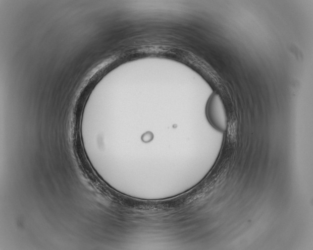 X0000112050724200909010941