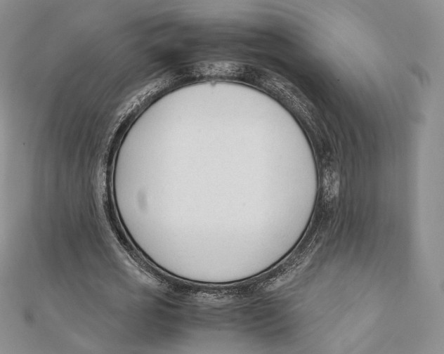 X0000112050725200909010941