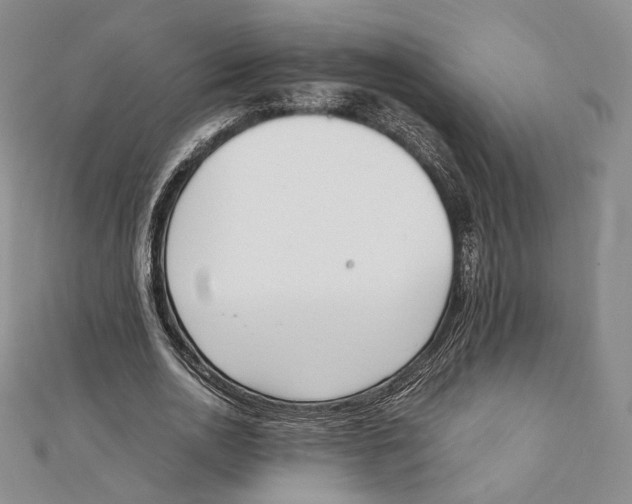 X0000112050726200909010941