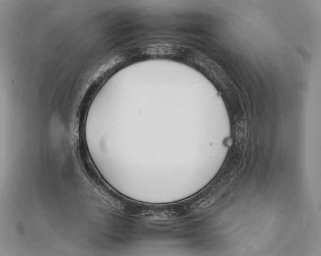 X0000112050727200909010941