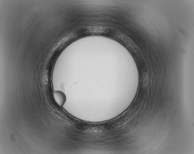 X0000112050731200909010942
