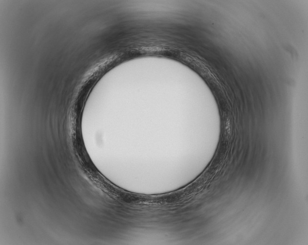 X0000112050732200909010942