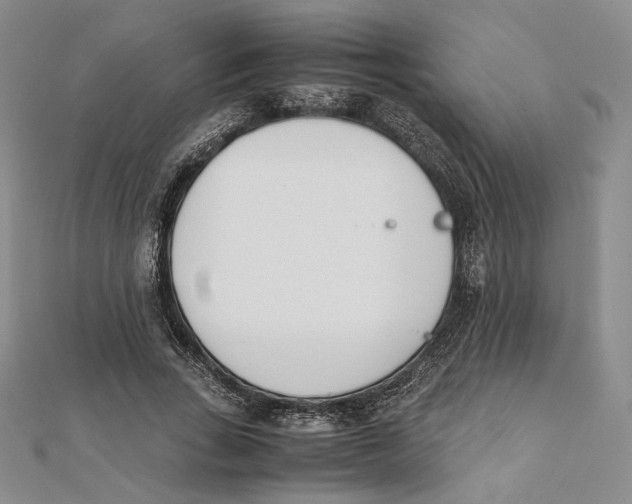 X0000112050735200909010942