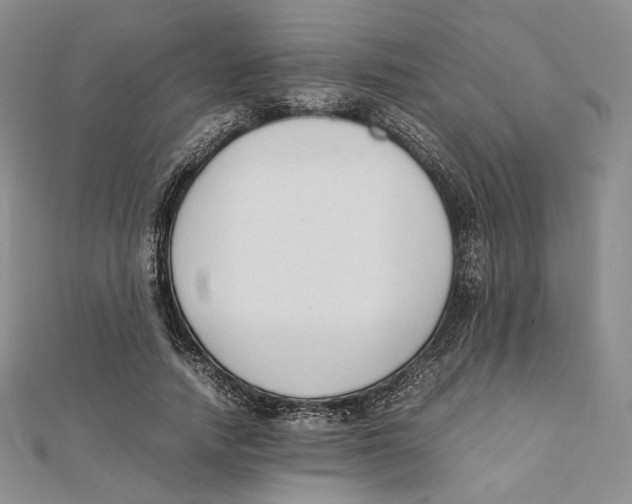 X0000112050738200909010942