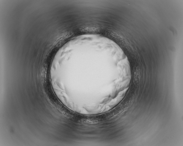 X0000112050739200909010942