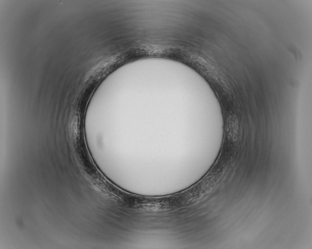 X0000112050740200909010942