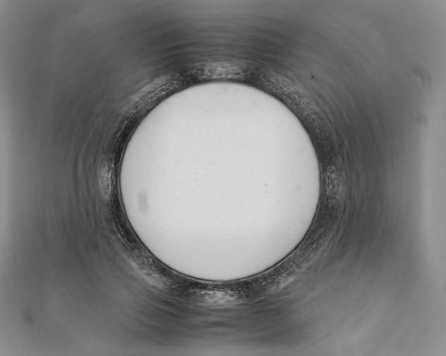 X0000112050741200909010942