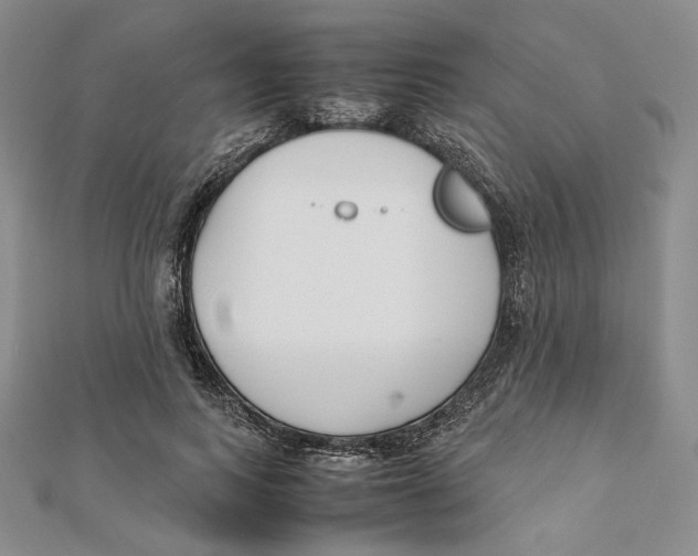 X0000112050743200909010942