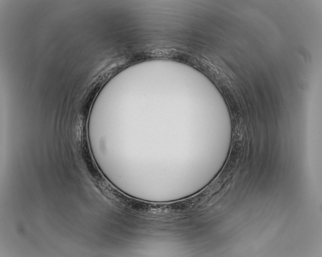 X0000112050744200909010942