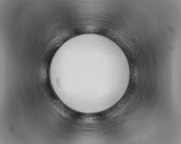 X0000112050746200909010942