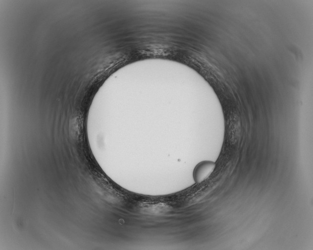 X0000112050747200909010942