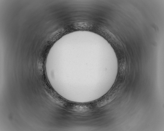 X0000112050749200909010942