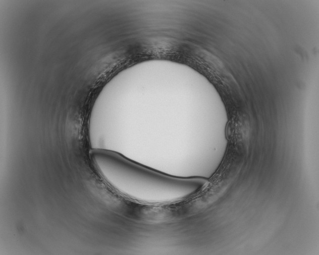 X0000112050750200909010942
