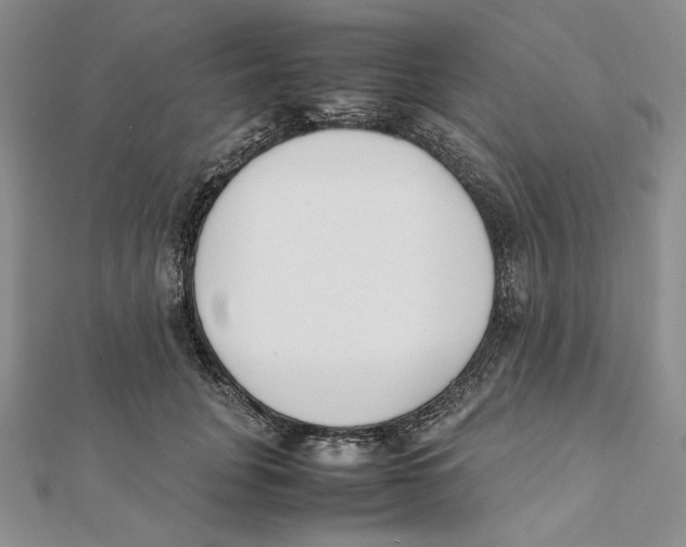 X0000112050751200909010942