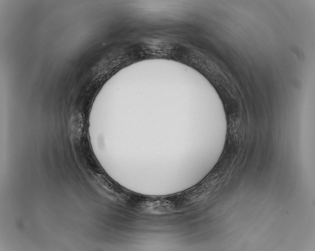 X0000112050752200909010942