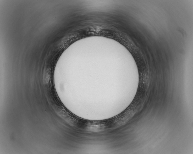 X0000112050754200909010942