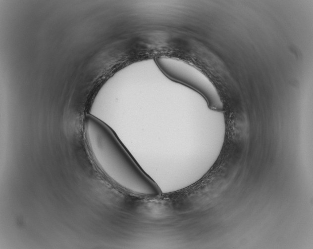 X0000112050756200909010942