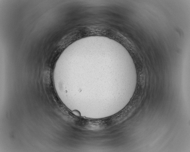 X0000112050757200909010942