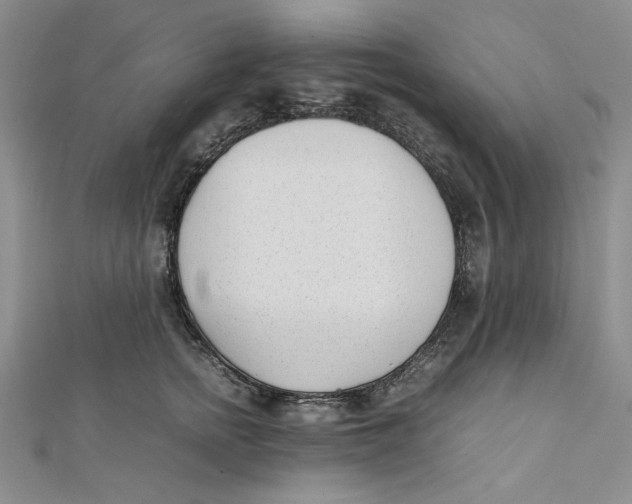 X0000112050758200909010942