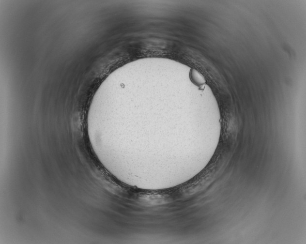 X0000112050759200909010942
