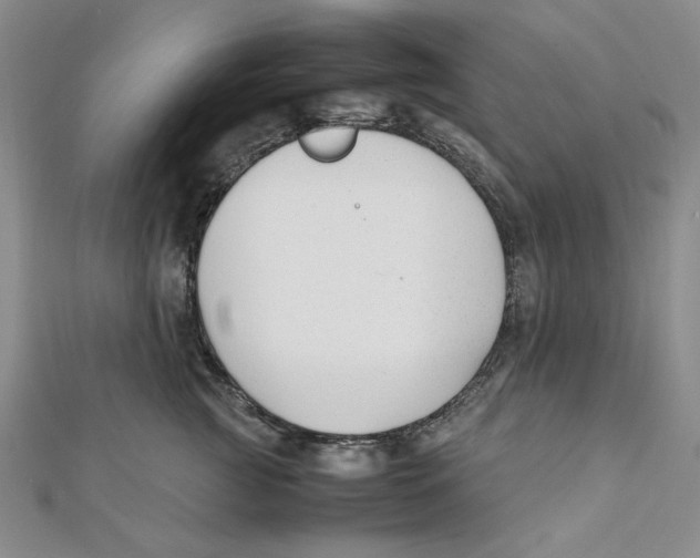X0000112050761200909010942