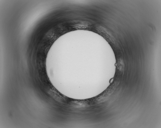 X0000112050763200909010942