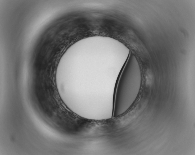 X0000112050764200909010942