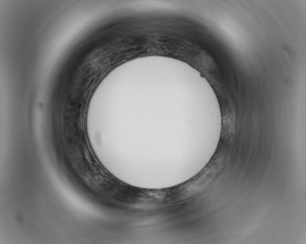 X0000112050765200909010942