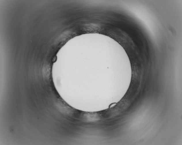 X0000112050767200909010942